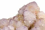 Sparkling Cactus Amethyst Crystal Cluster - South Africa #301881-3